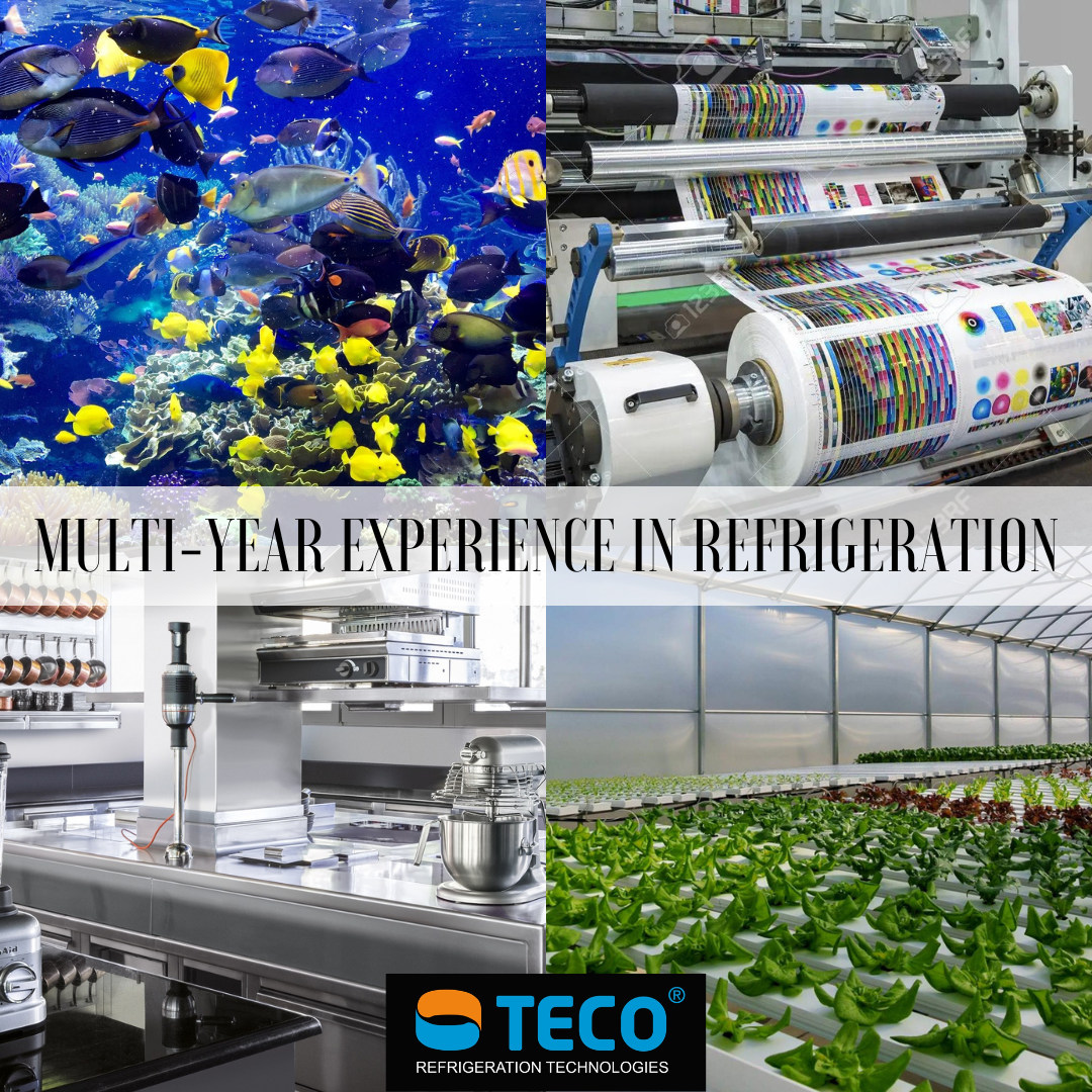 MULTI YEAR EXPERIENCE